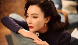 陈数主演的电视剧,电视剧中的经典角色回顾