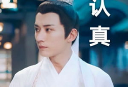 刘学义电视剧,演绎传奇人生，电视剧中的英雄本色