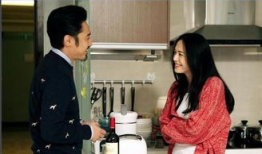 离婚律师电视剧免费,揭秘婚姻背后的法律风云